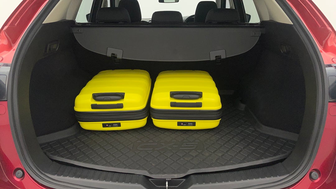Boot Inside View with Luggage
