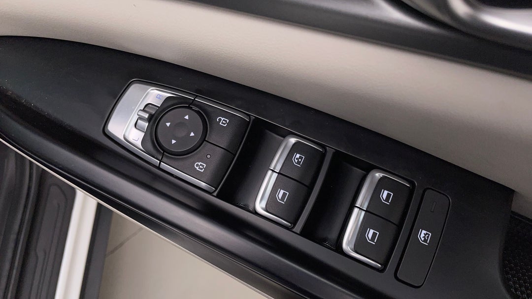 Drivers Side Door Panel Controls