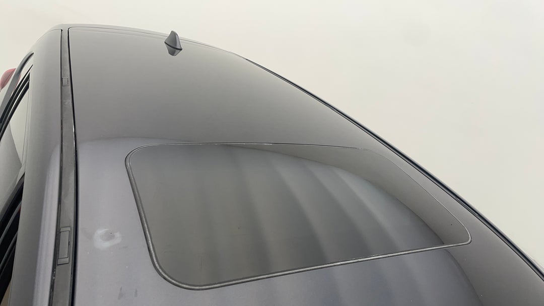 Roof/Sunroof View