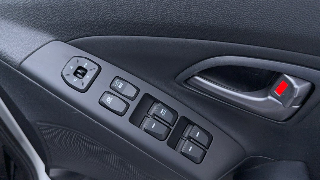 Drivers Side Door Panel Controls
