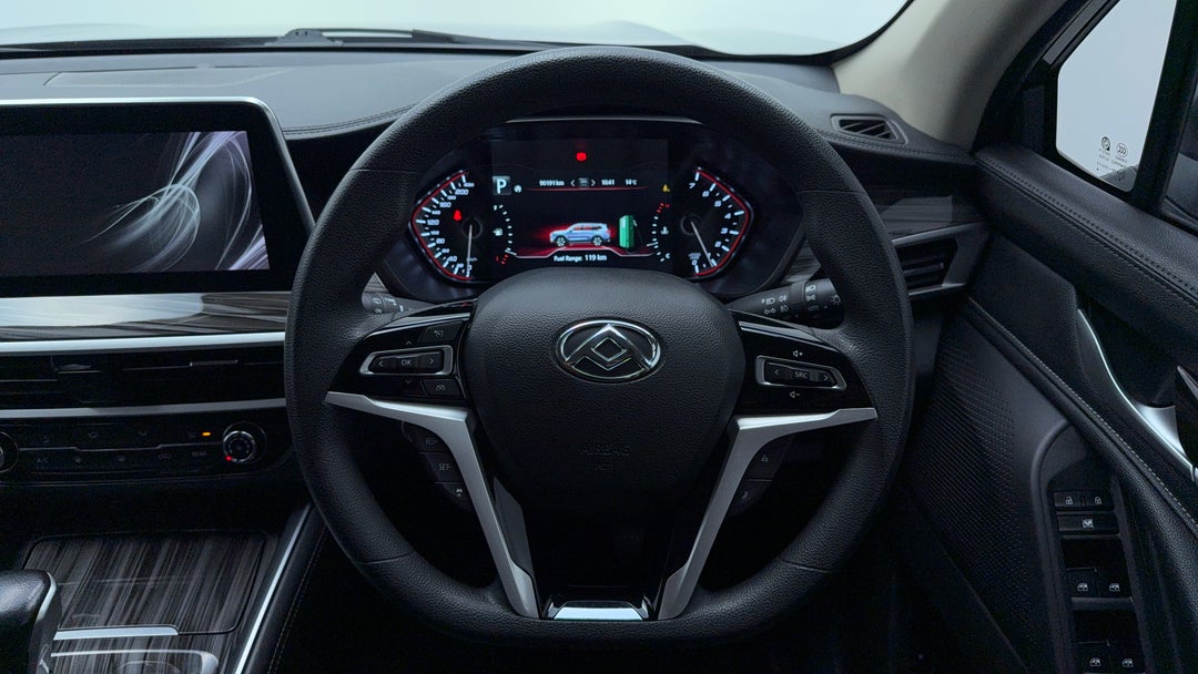 Steering Wheel Close-up