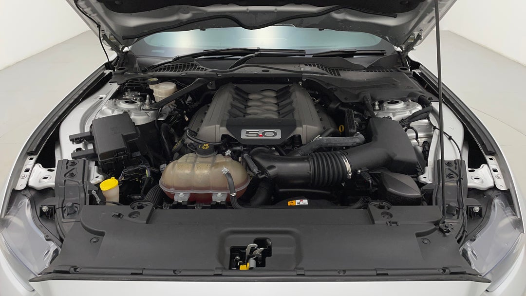Open Bonnet (Engine)