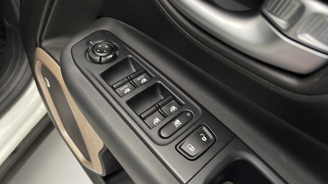 Drivers Side Door Panel Controls
