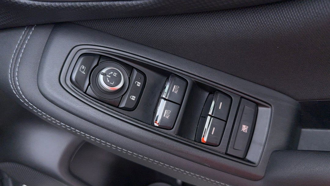 Drivers Side Door Panel Controls