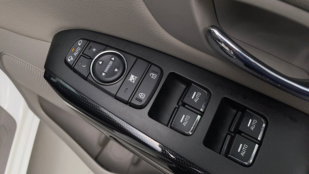 Drivers Side Door Panel Controls