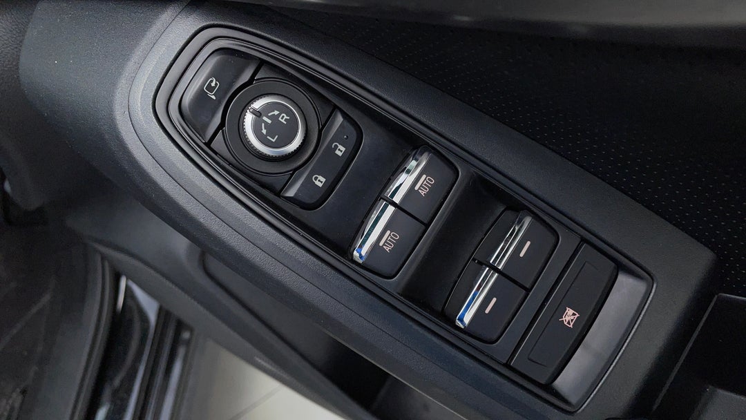 Drivers Side Door Panel Controls