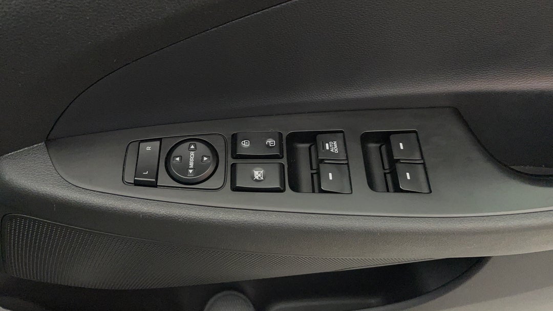 Drivers Side Door Panel Controls