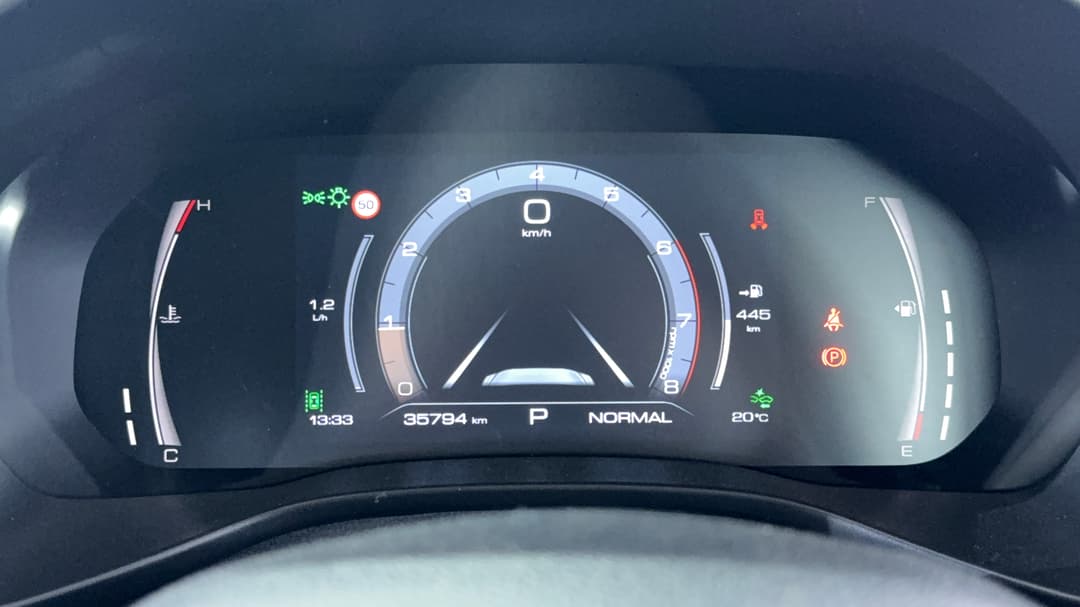 Odometer View