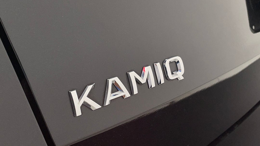 Badge (Boot Left Side)