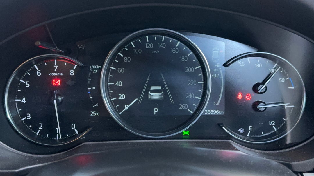 Odometer View