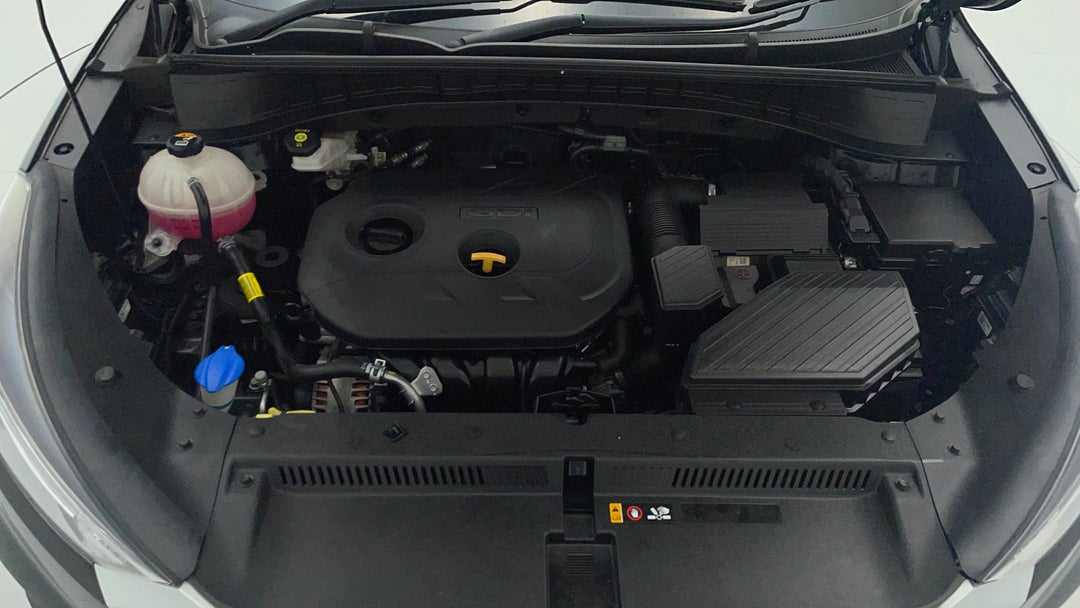 Open Bonnet (Engine)