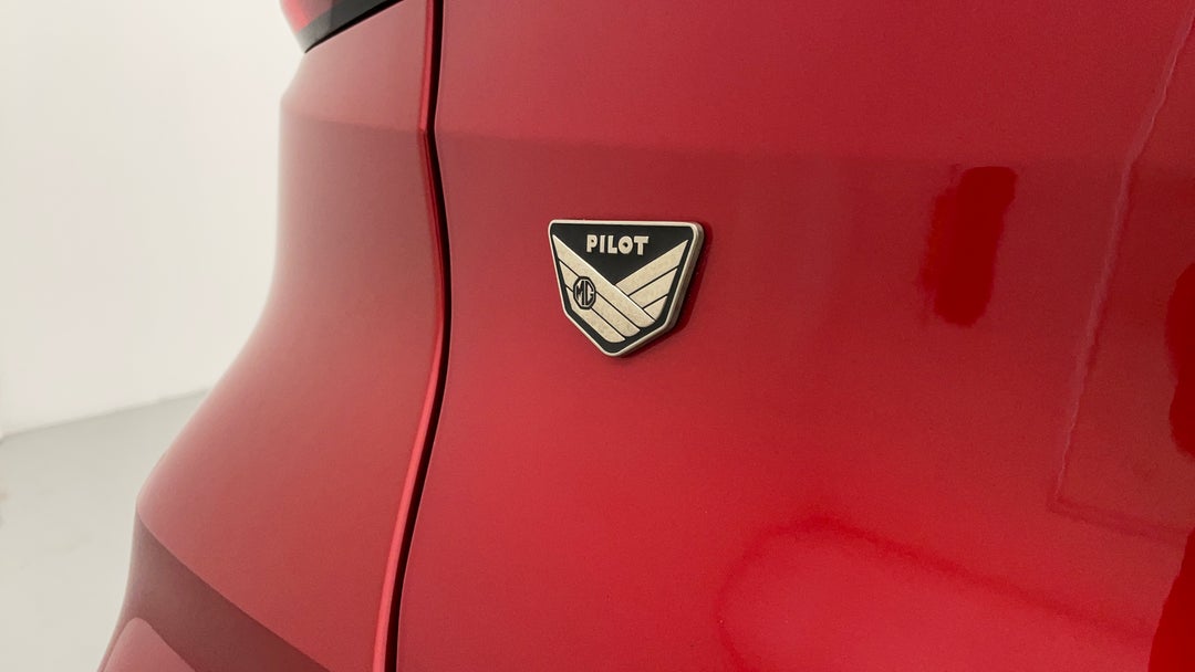 Badge (Boot Left Side)