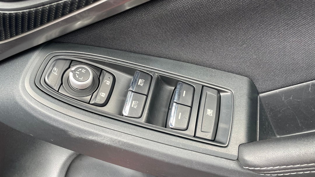 Drivers Side Door Panel Controls