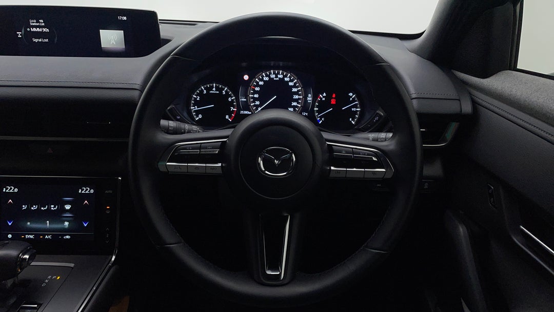 Steering Wheel Close-up