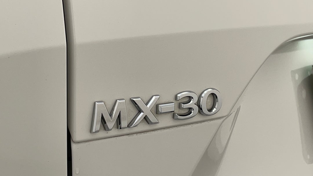 Badge (Boot Left Side)