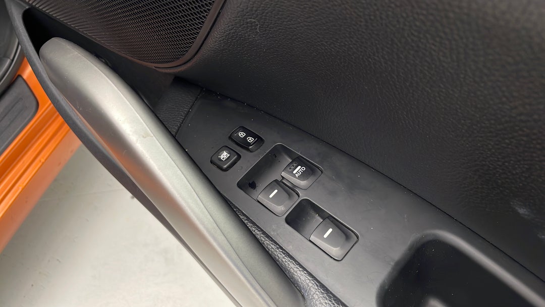 Drivers Side Door Panel Controls