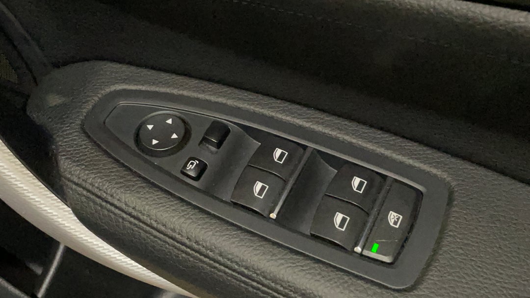 Drivers Side Door Panel Controls