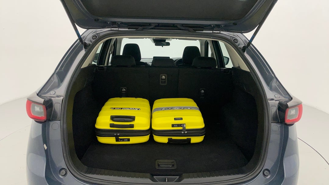 Boot Inside View with Luggage
