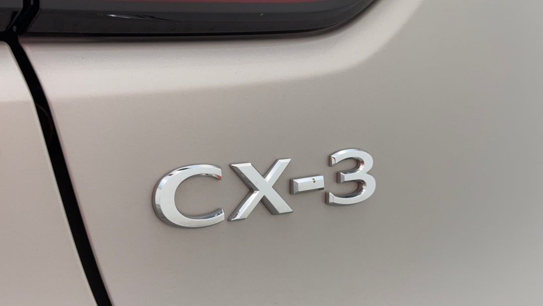 Badge (Boot Left Side)