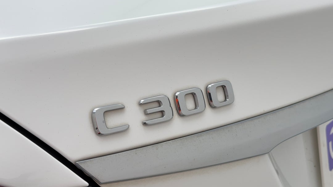 Badge (Boot Left Side)