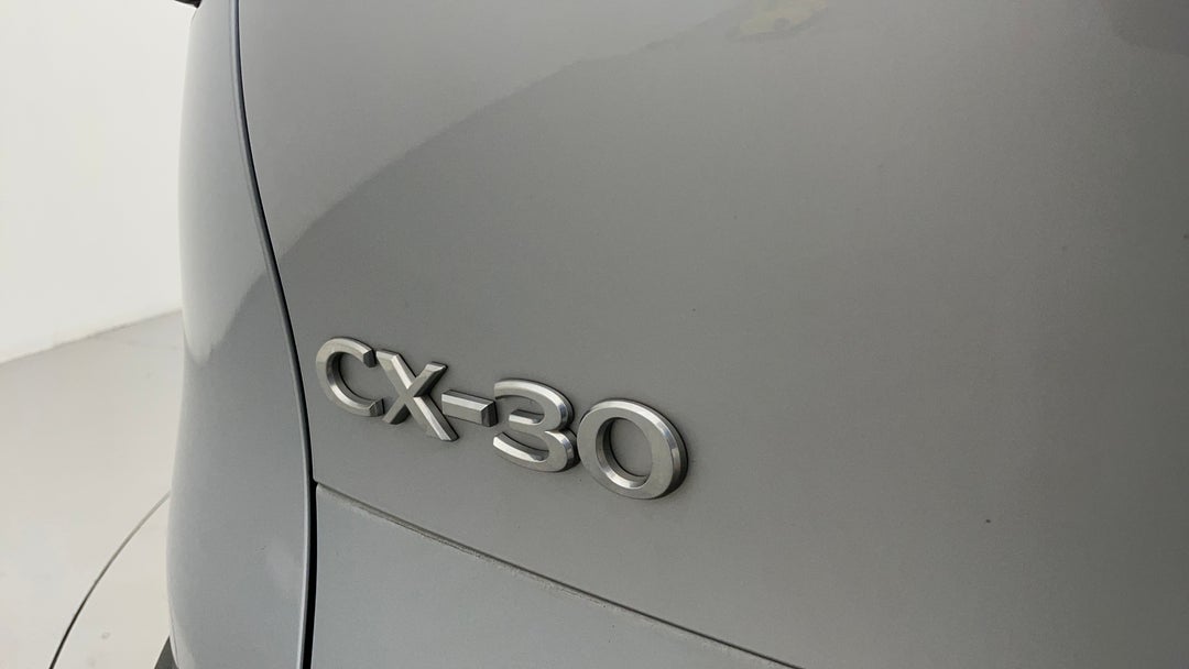 Badge (Boot Left Side)