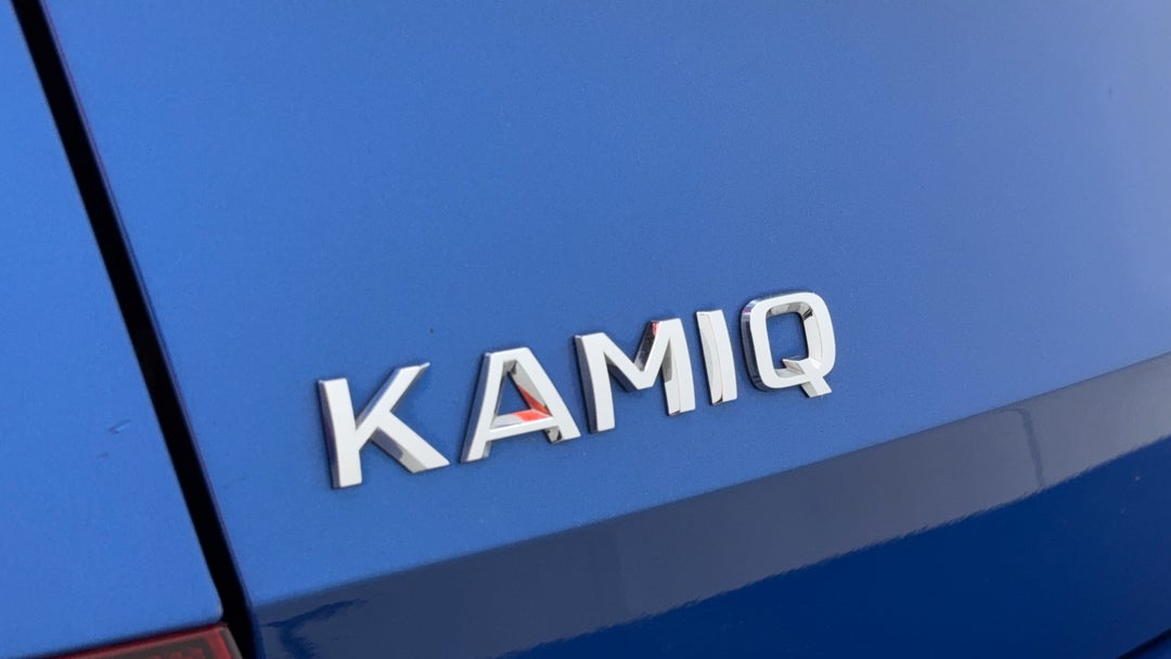 Badge (Boot Left Side)