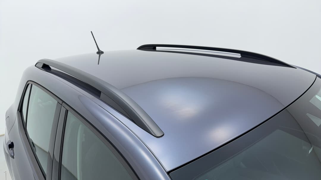 Roof/Sunroof View