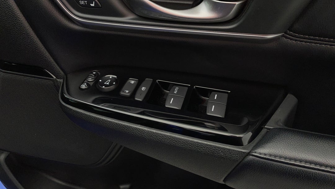Drivers Side Door Panel Controls