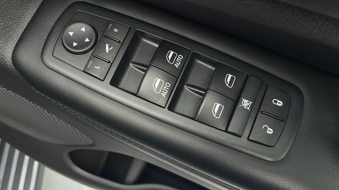 Drivers Side Door Panel Controls