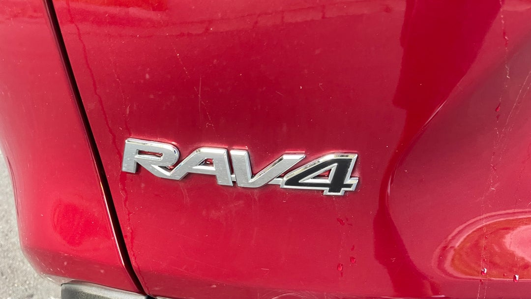 Badge (Boot Left Side)