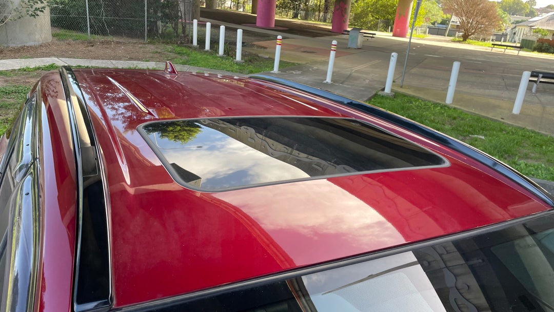 Roof/Sunroof View