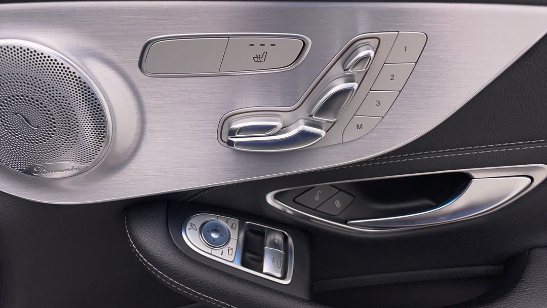 Drivers Side Door Panel Controls
