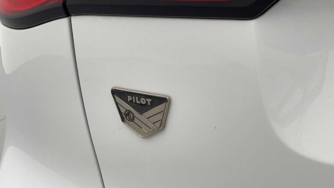 Badge (Boot Left Side)