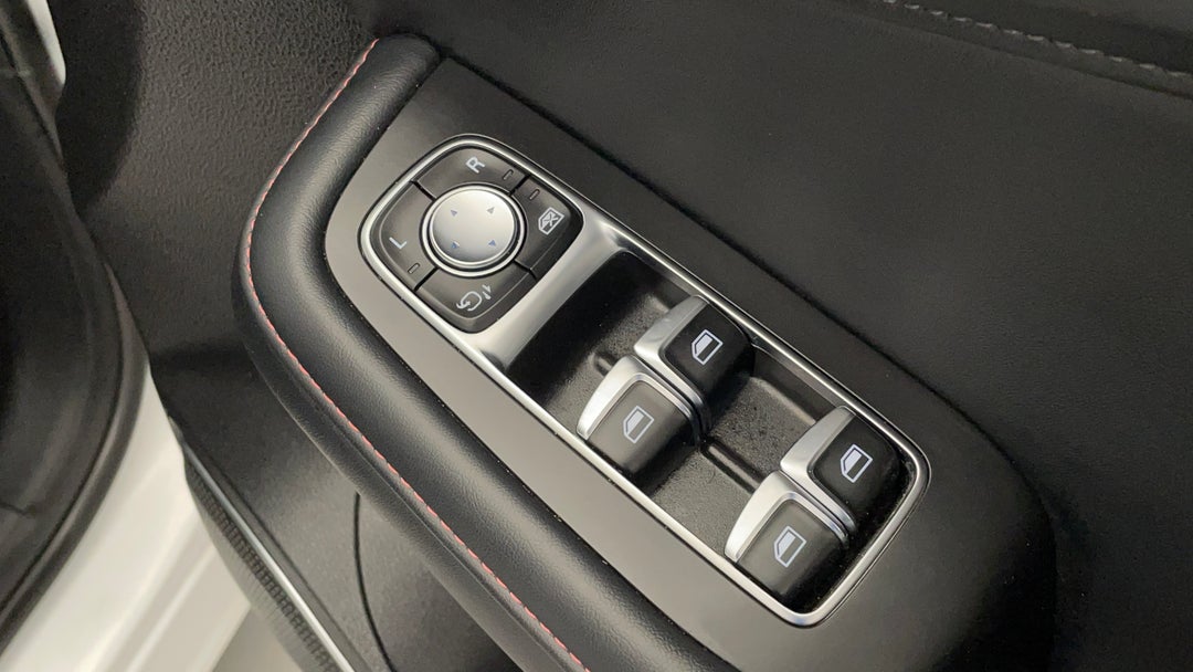 Drivers Side Door Panel Controls