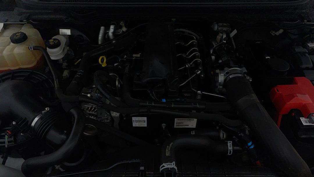 Open Bonnet (Engine)