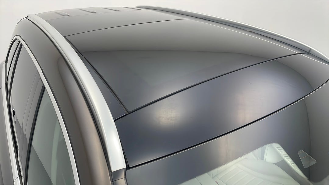 Roof/Sunroof View