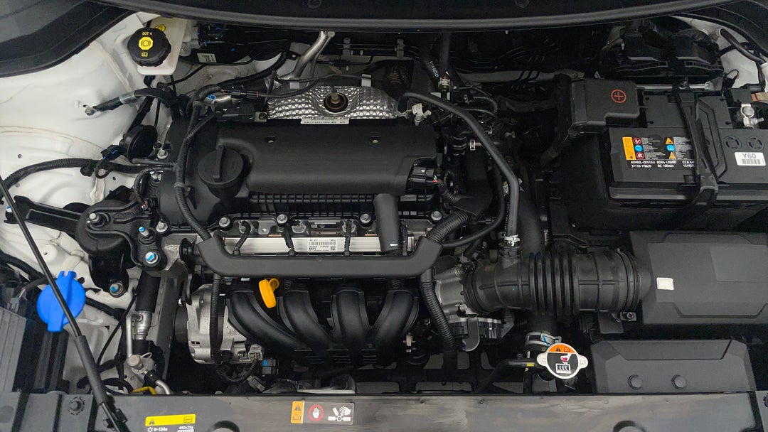 Open Bonnet (Engine)