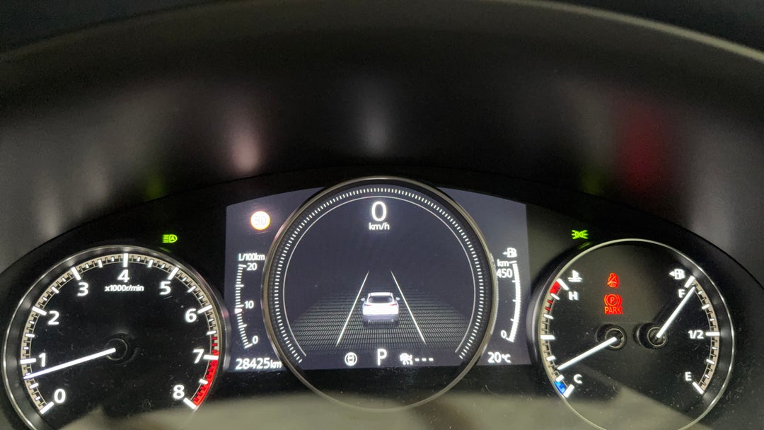 Odometer View
