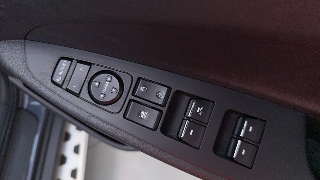 Drivers Side Door Panel Controls