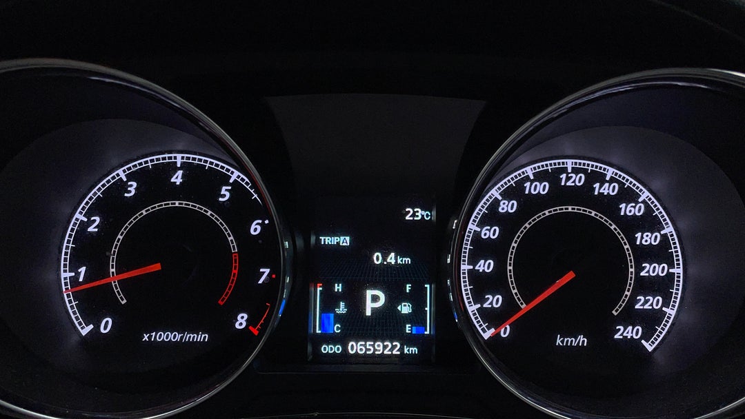 Odometer View