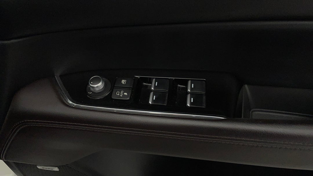 Drivers Side Door Panel Controls