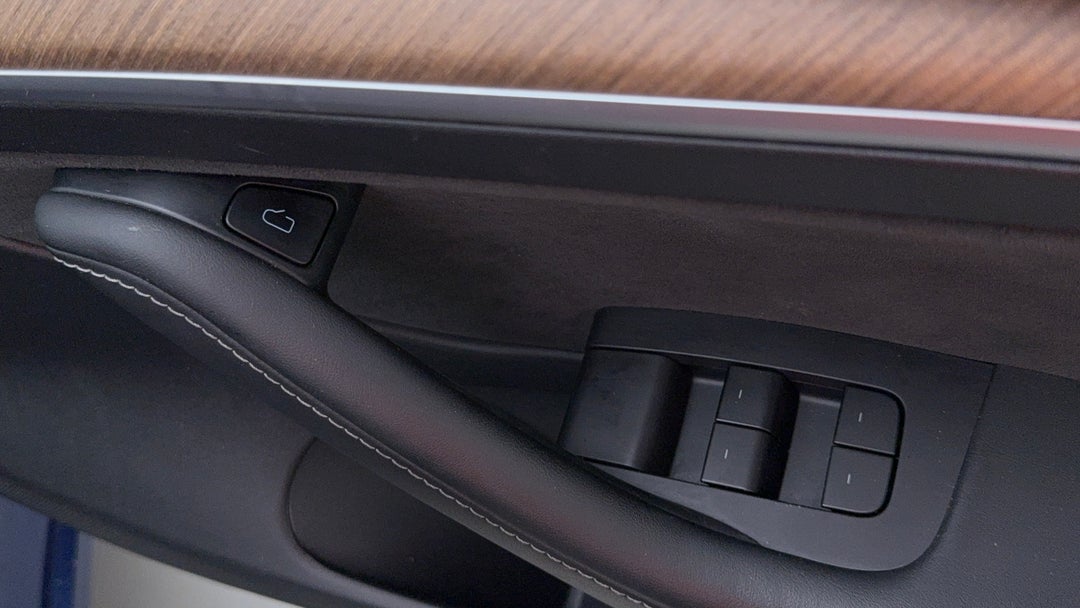 Drivers Side Door Panel Controls