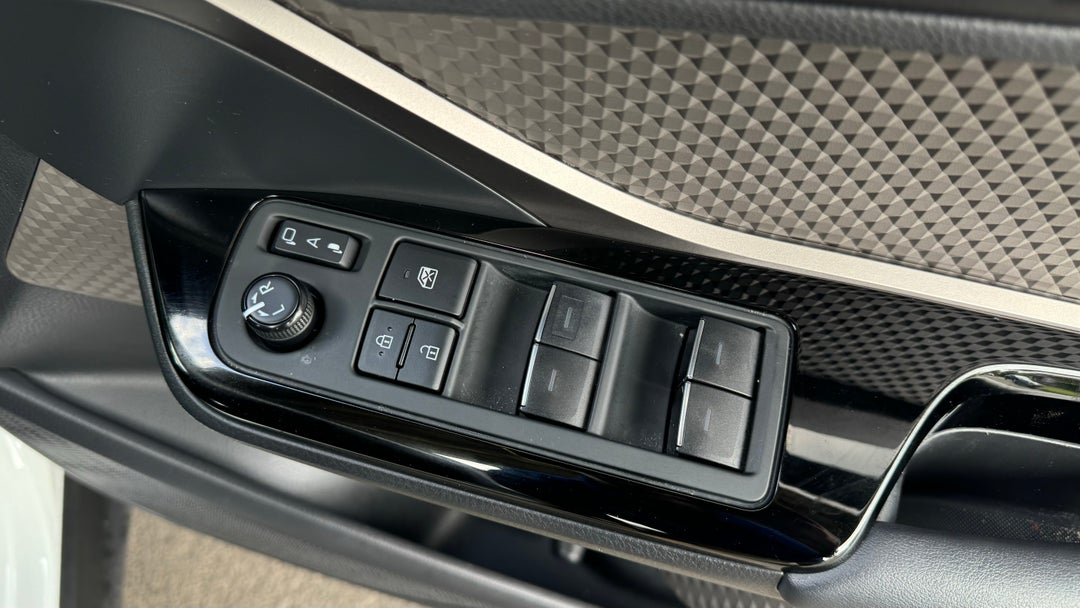 Drivers Side Door Panel Controls