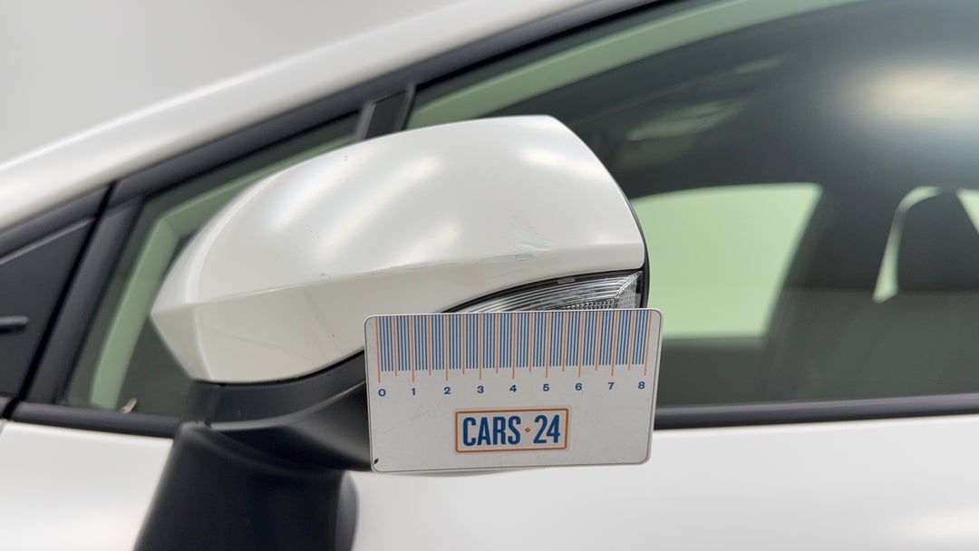 Side Mirrors Housing LHS Chip