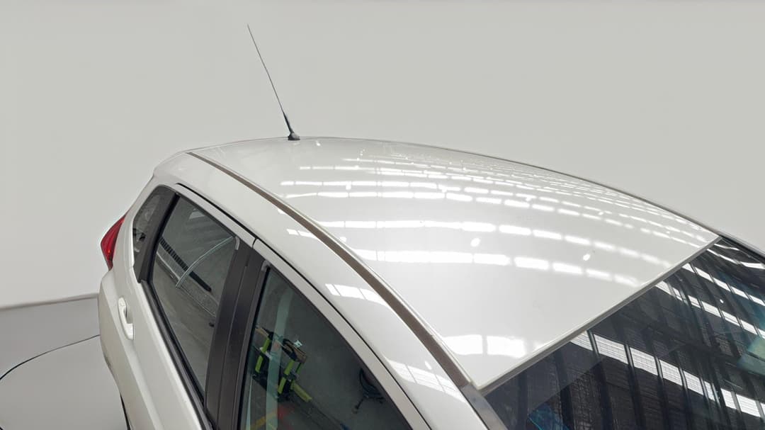 Roof/Sunroof View