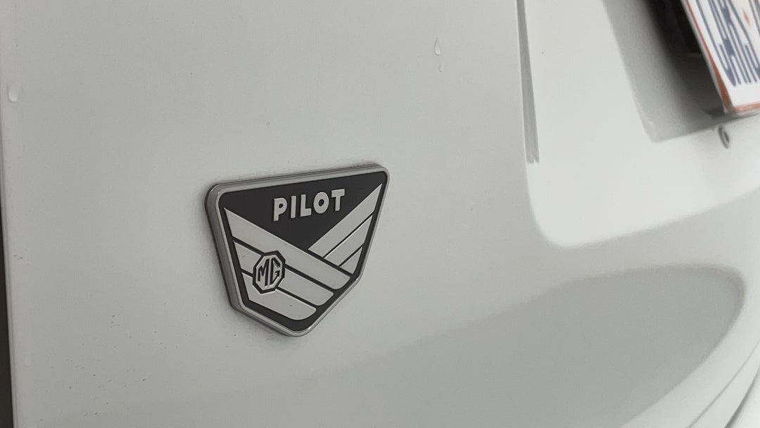 Badge (Boot Left Side)