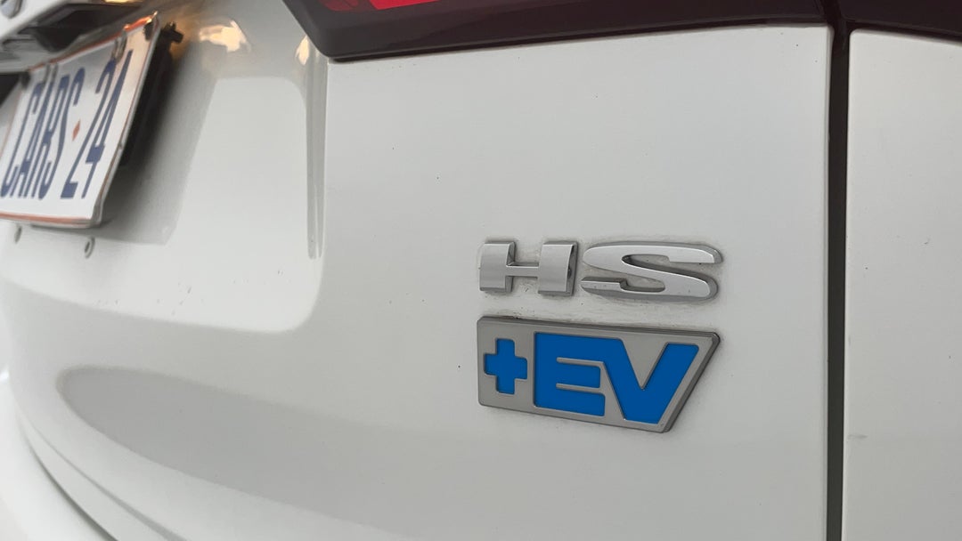 Badge (Boot Right Side)