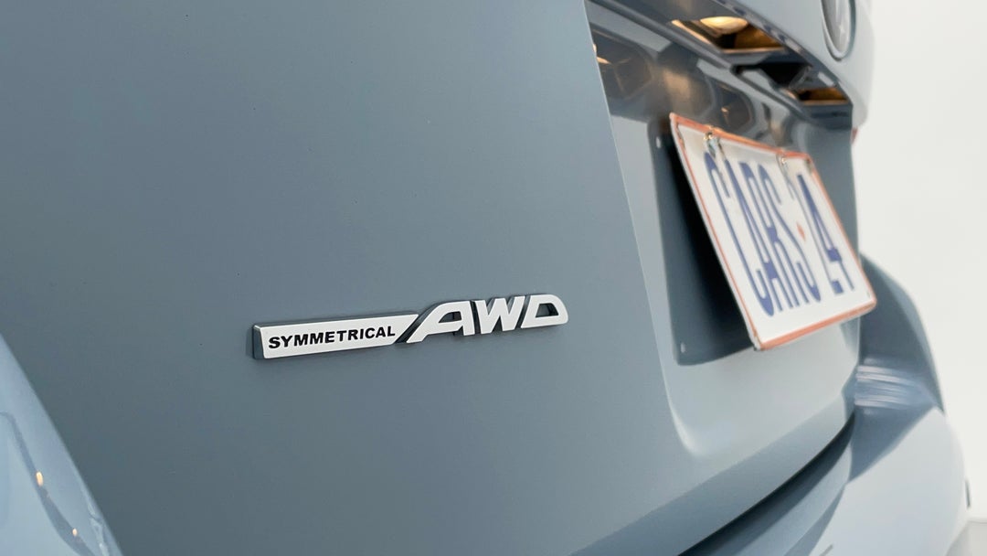 Badge (Boot Left Side)