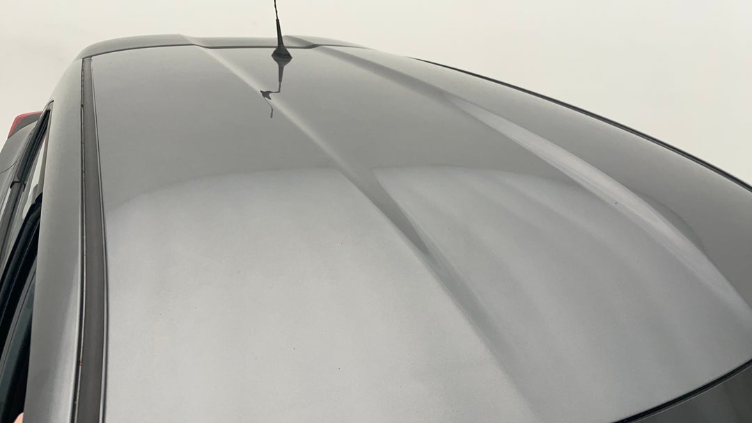 Roof/Sunroof View