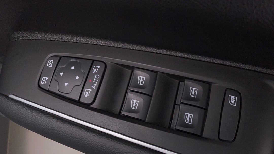Drivers Side Door Panel Controls